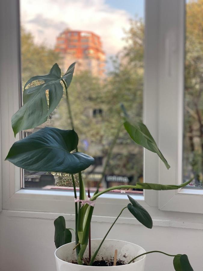 Central Welcoming Apartment In Тирана Екстер'єр фото